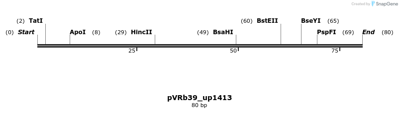 74128_map