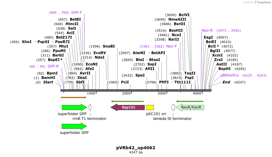 74133_map