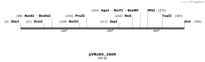 74142_map