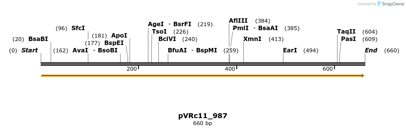 74144_map