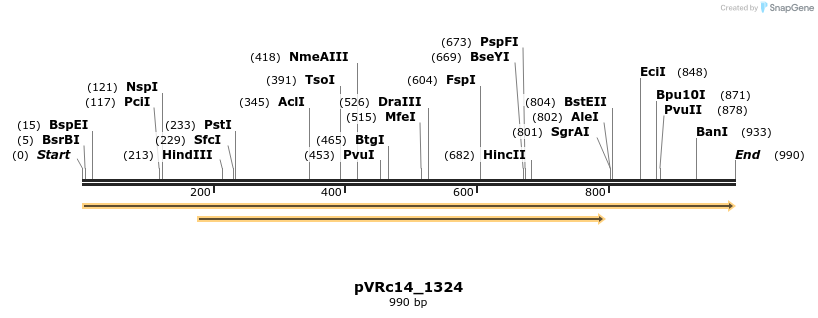 74146_map