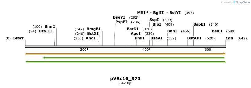 74152_map