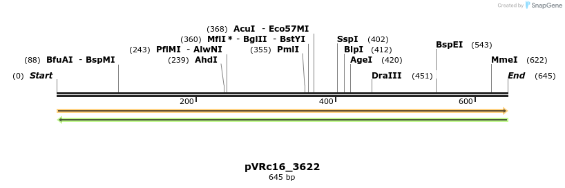 74154_map