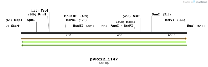 74158_map