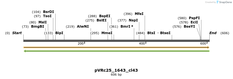 74162_map