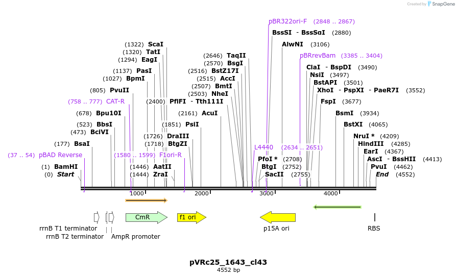 74163_map