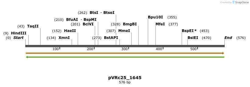 74164_map