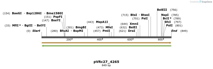 74168_map