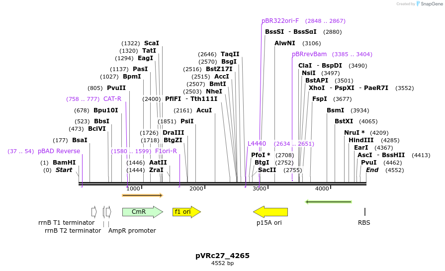 74169_map