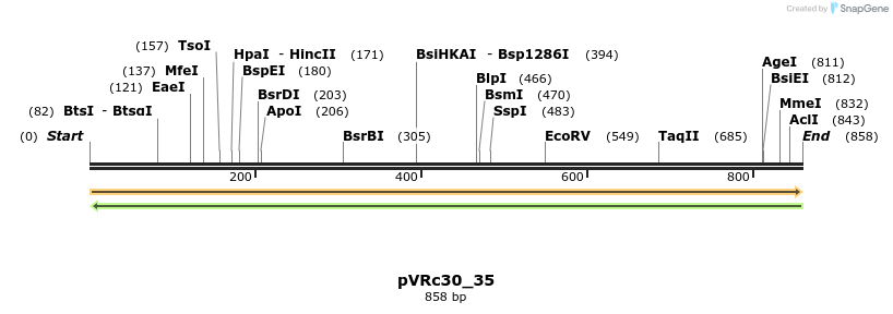 74170_map