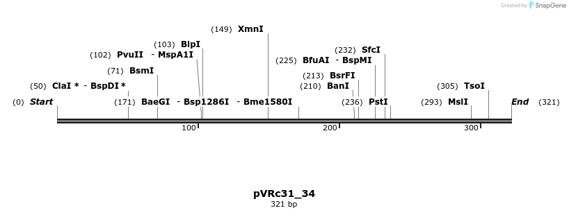 74172_map