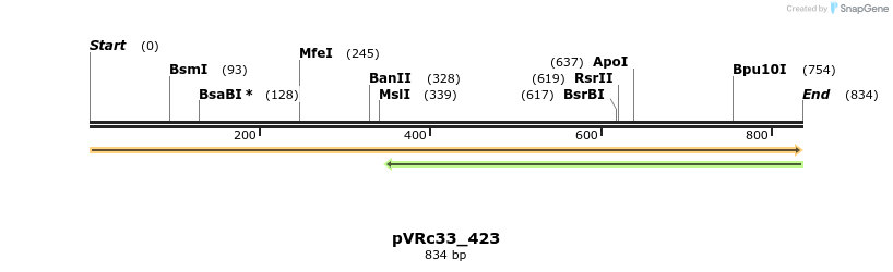 74176_map