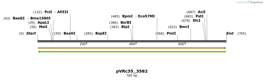 74178_map