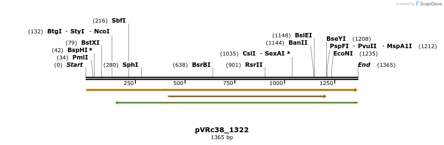 74182_map