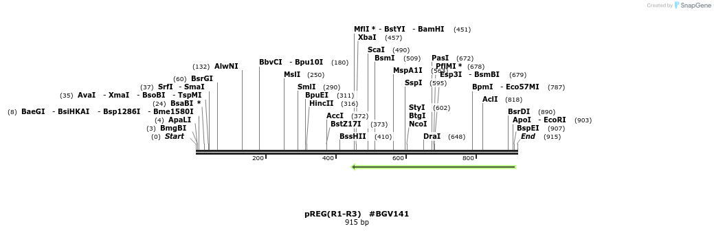 74185_map