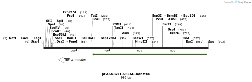 74189_map
