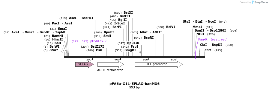 74190_map