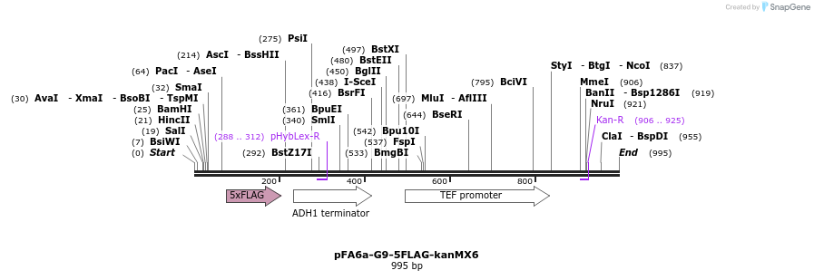 74191_map