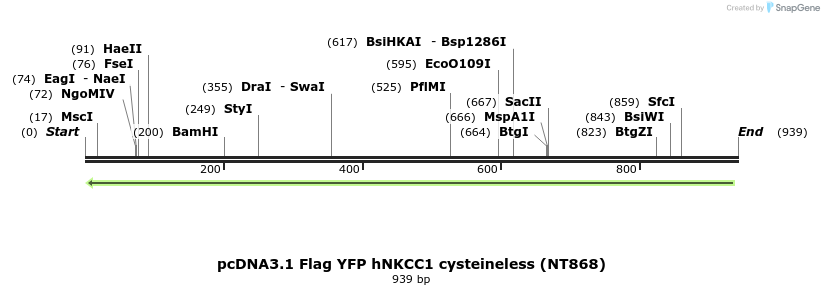 74192_map