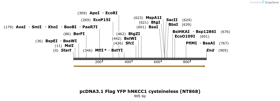 74193_map