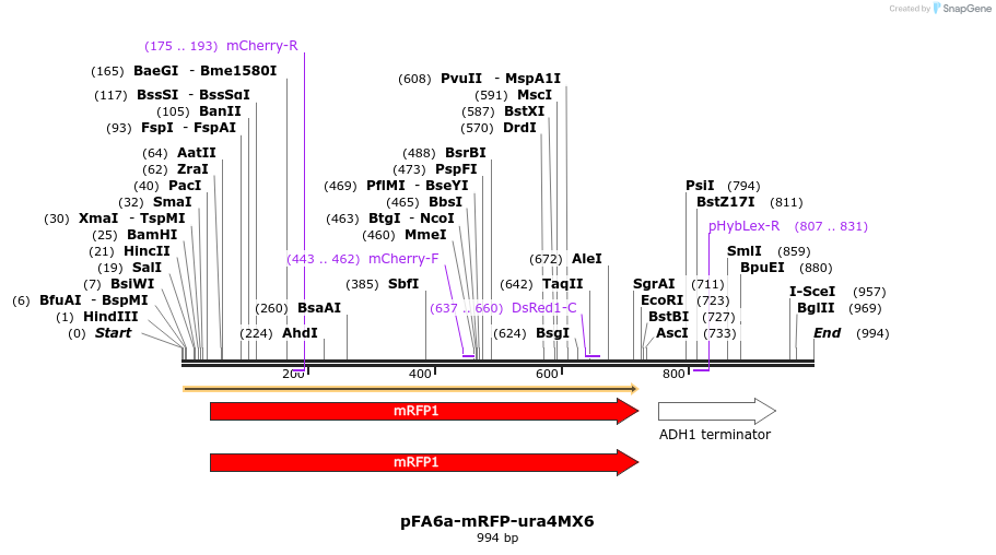 74194_map