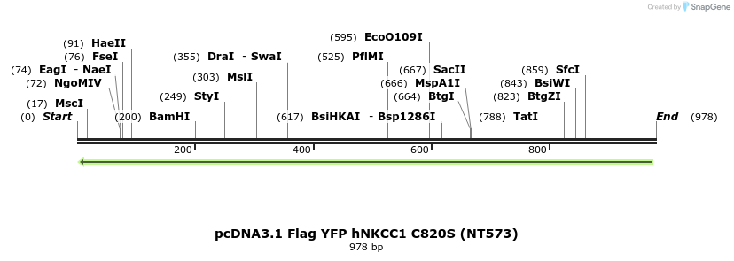 74195_map