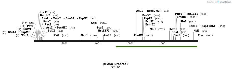 74196_map