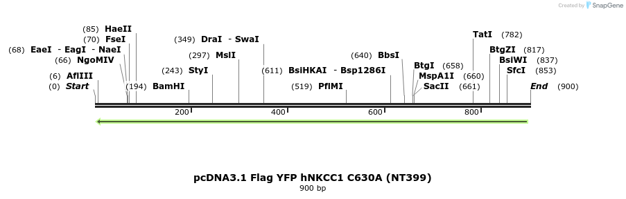 74197_map