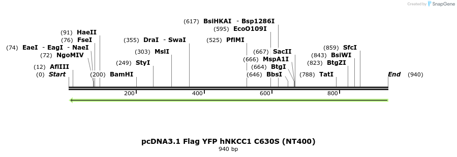 74198_map