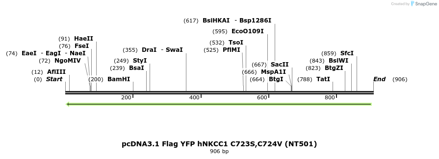 74199_map