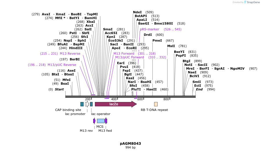 74200_map