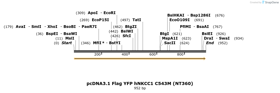 74203_map