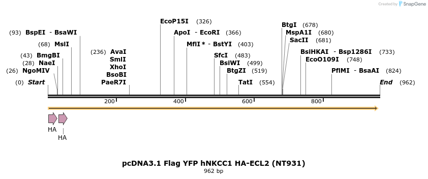 74204_map