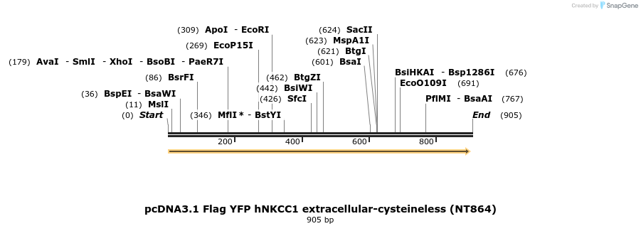 74205_map