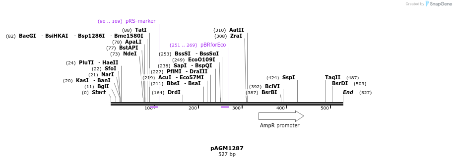 74206_map