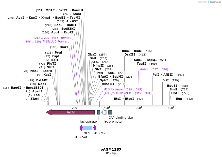 74207_map