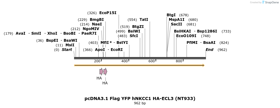 74208_map