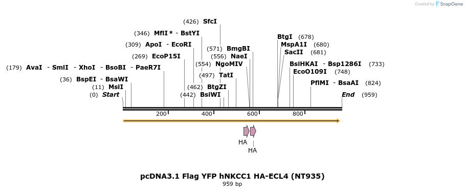 74209_map