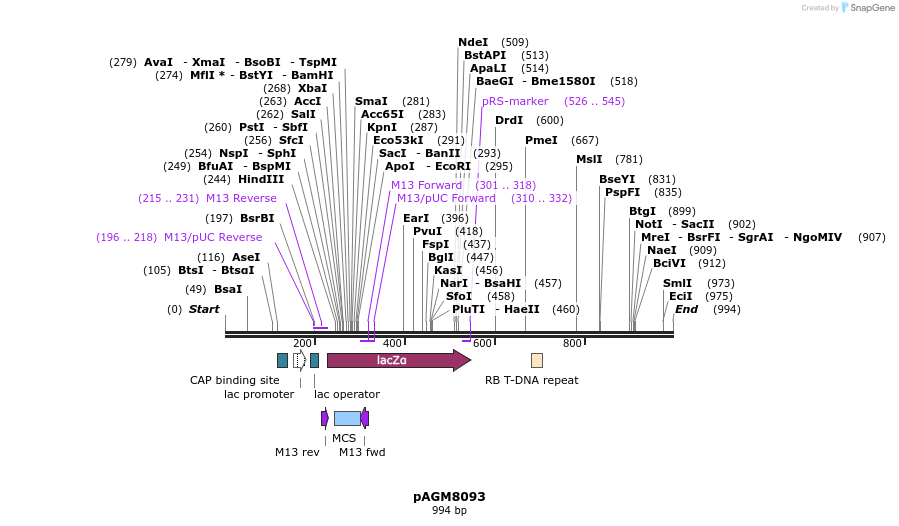74211_map