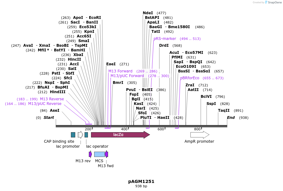74212_map