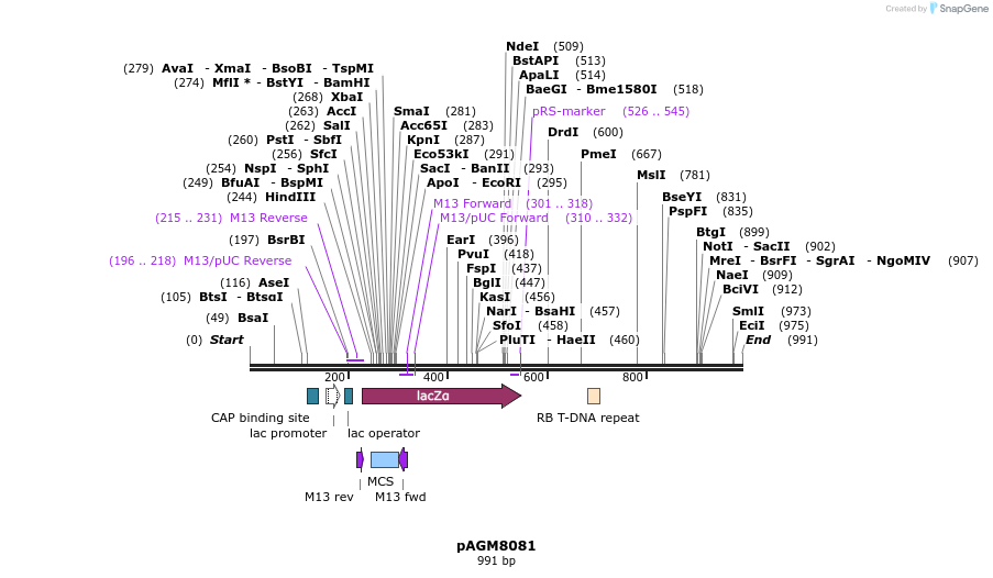 74213_map