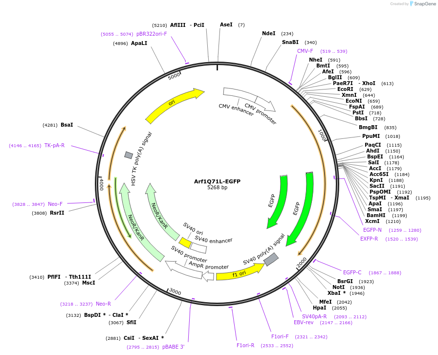 74225_map