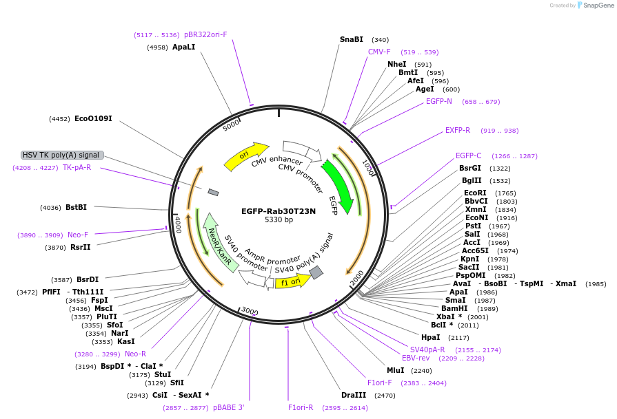 74250_map