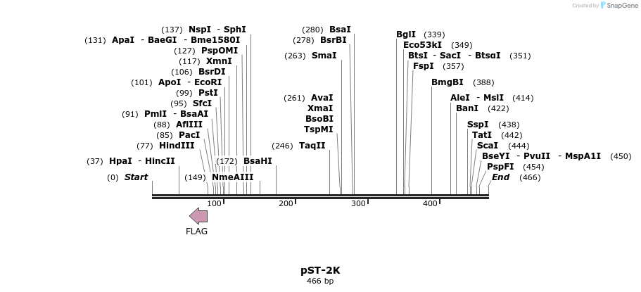 74259_map