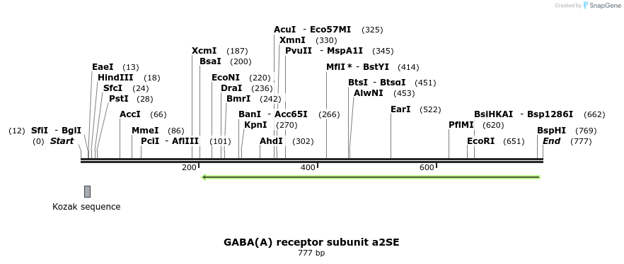 74262_map