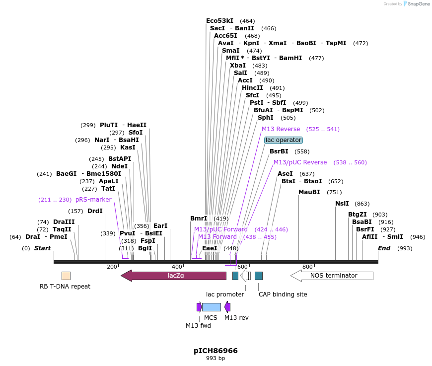 74264_map