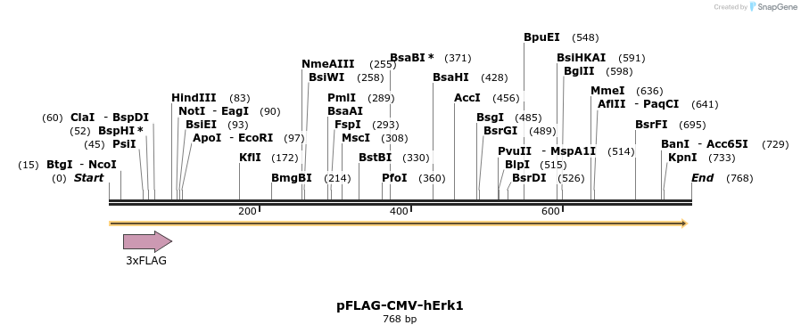 74265_map