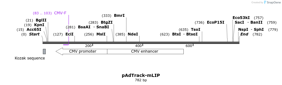 74266_map