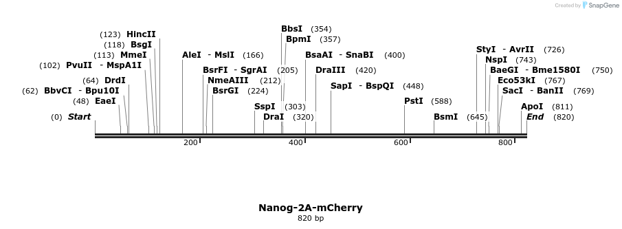 74267_map