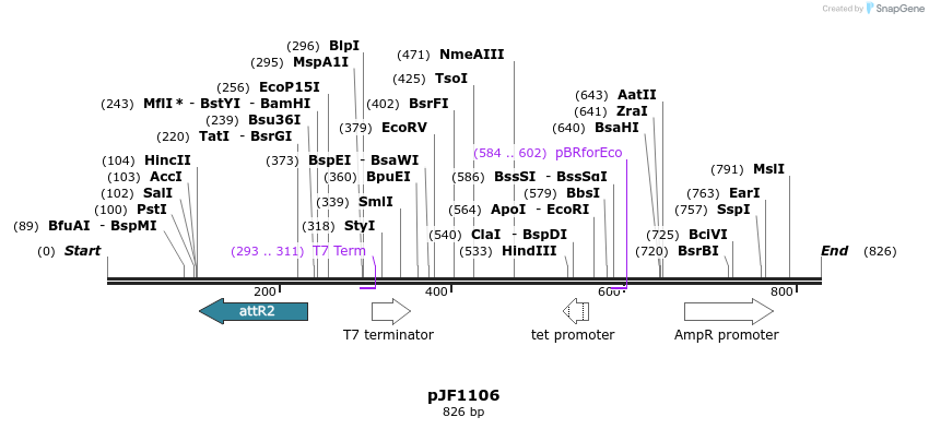 74271_map